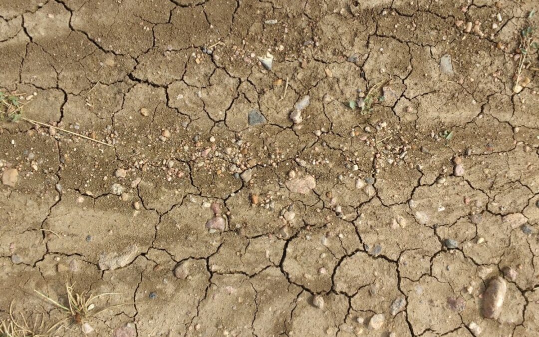 02/08/2025 – ALERTE SÉCHERESSE DANS LE VAR