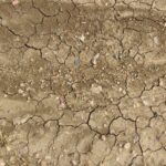 02/08/2025 – ALERTE SÉCHERESSE DANS LE VAR
