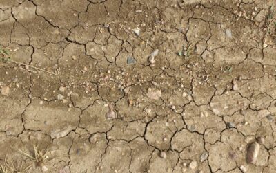 02/08/2025 – ALERTE SÉCHERESSE DANS LE VAR