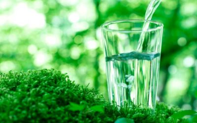 Économiser notre eau devient urgent !