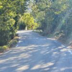 D837 – Les travaux du Feu rouge ont commencé