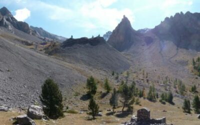 Mines et minéraux
