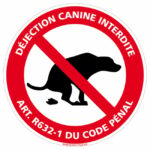 Chiens en liberté, nuisances, propreté : Tous concernés !