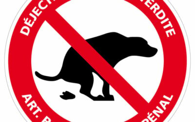 Chiens en liberté, nuisances, propreté : Tous concernés !