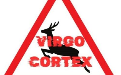 10/07/25 – Virgo Cortex (Pop Rock) – Festivité gratuite