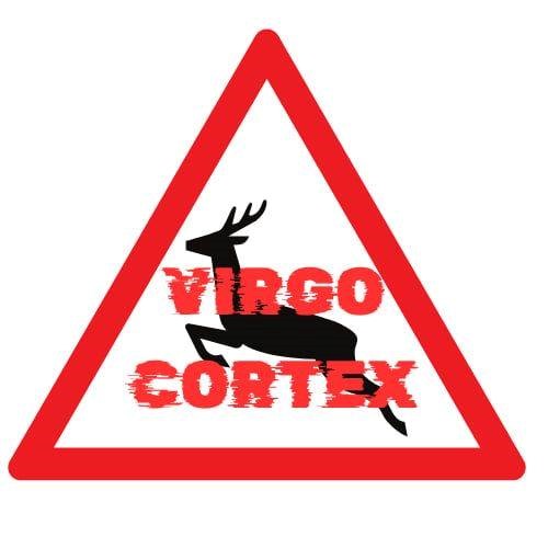 10/07/25 – Virgo Cortex (Pop Rock) – Festivité gratuite