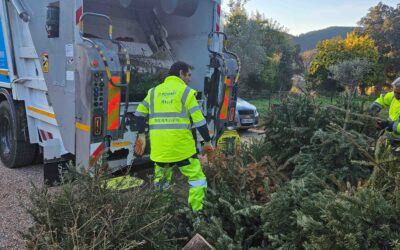14/01/26 -Collecte spéciale des sapins de Noël